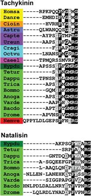 Tachykinins: Neuropeptides That Are Ancient, Diverse, Widespread and Functionally Pleiotropic